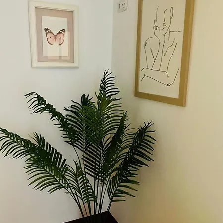 Appartement Centro Acogedor